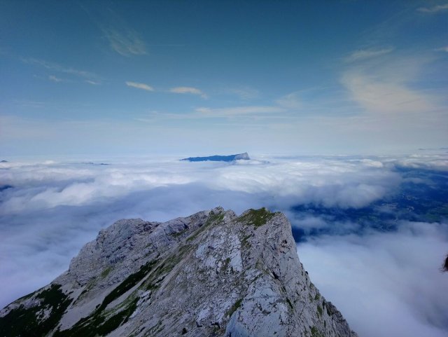 Kurz RCI